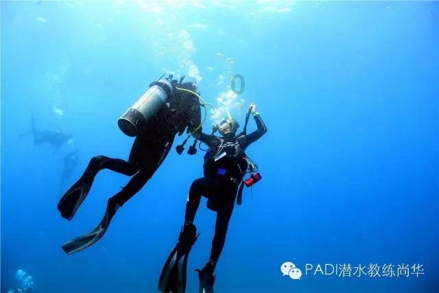 救援选美皇后